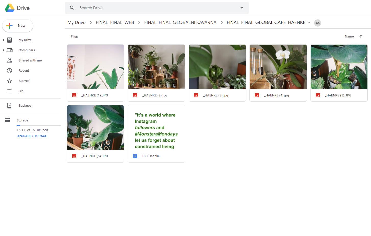 SO / 25.5. / 17.00 / Final_Final_Globální kavárna_Plantlover / vernisáž instalace